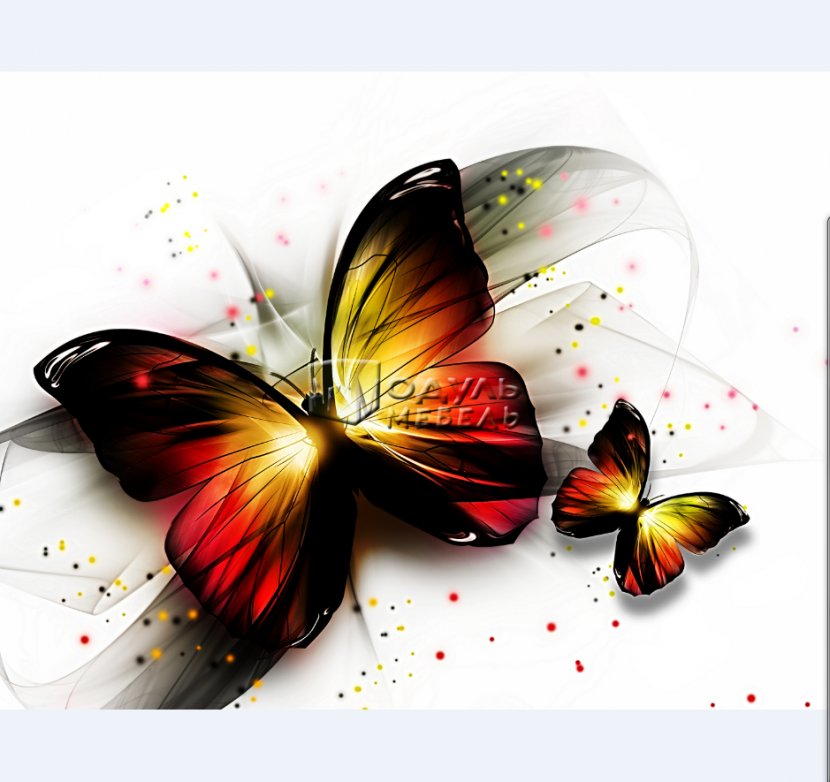 Butterfly Stock Photography - Pollinator - Watercolor Transparent PNG