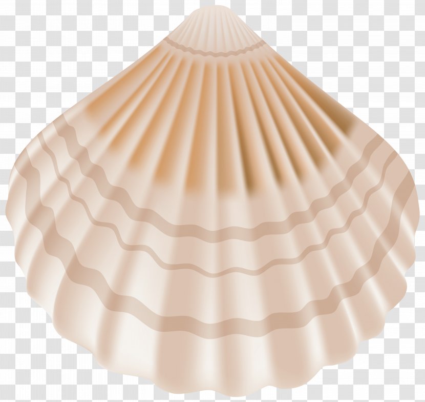 Seashell Clip Art - Peach - Shell Wreath Transparent PNG