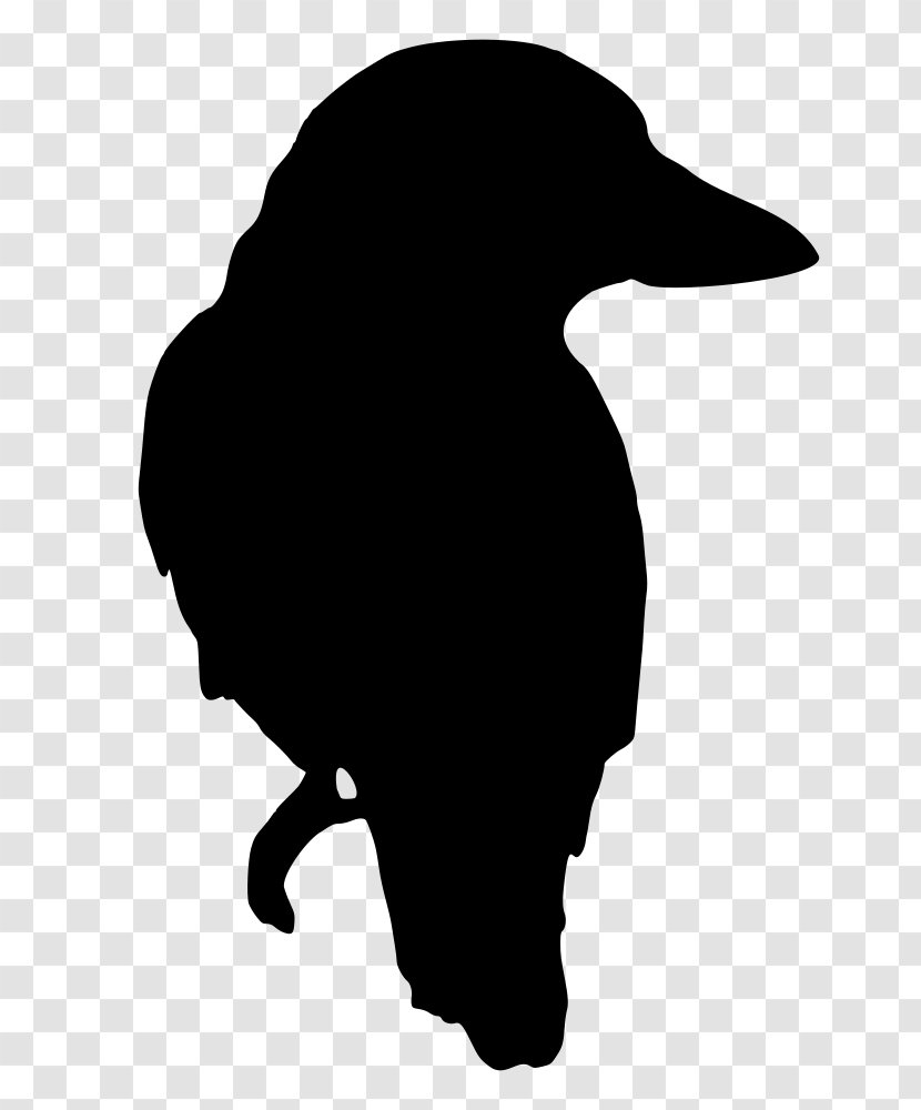 Bird Silhouette Clip Art - Beak - Animal Silhouettes Transparent PNG