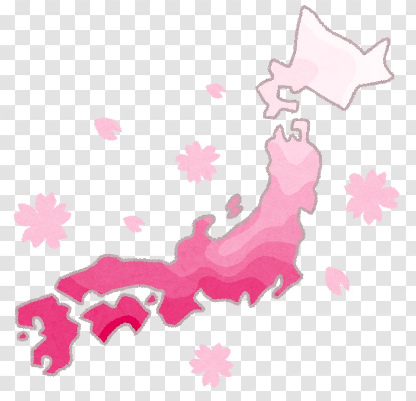 Cherry Blossom Front Hanami Meguro River ライトアップ Transparent PNG