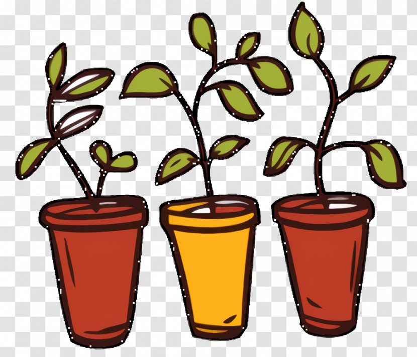 Flower Tree - Plant - Drink Houseplant Transparent PNG