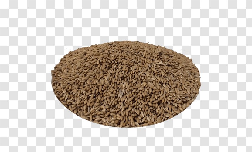 Oat Cereal Sprouted Wheat Whole Grain Spelt - Especiarias Transparent PNG