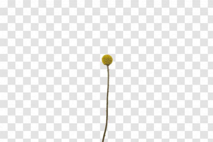 Line Plant - Yellow - Design Transparent PNG