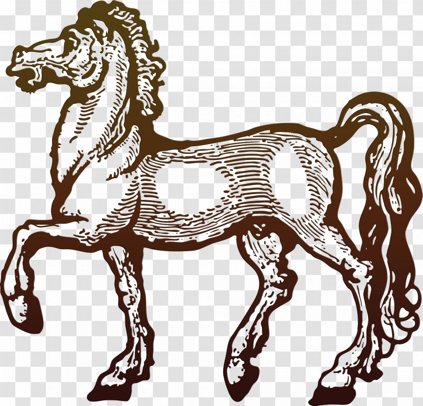 Horse Pony - Horseshoe Transparent PNG