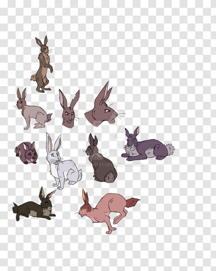 Hare Cat Dog Canidae Animal - Tail Transparent PNG
