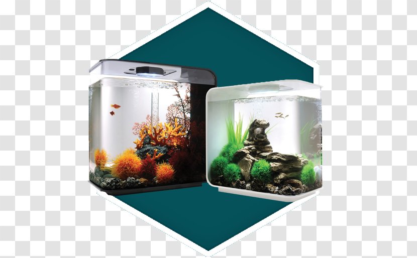 Aquariums Light-emitting Diode Filtration - Airstone - Aquarium Decoration Transparent PNG