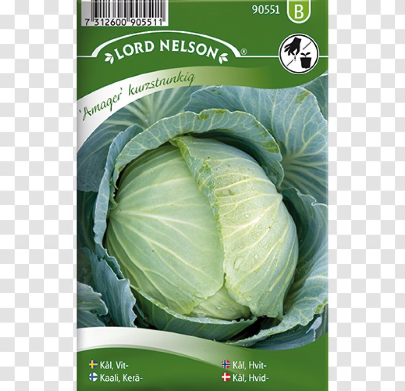 Formula 1 Broccoli Seed Vegetable Bok Choy - Brassica Oleracea Transparent PNG