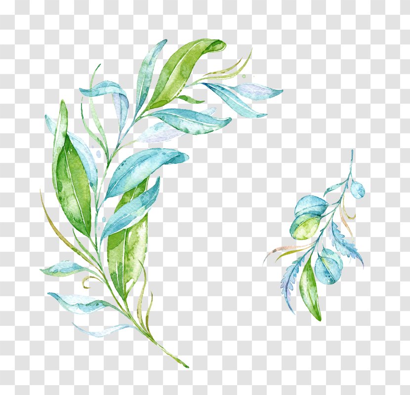 Leaf Blue - Designer - And Green Hand Painted Watercolor Wicker Branches Transparent PNG