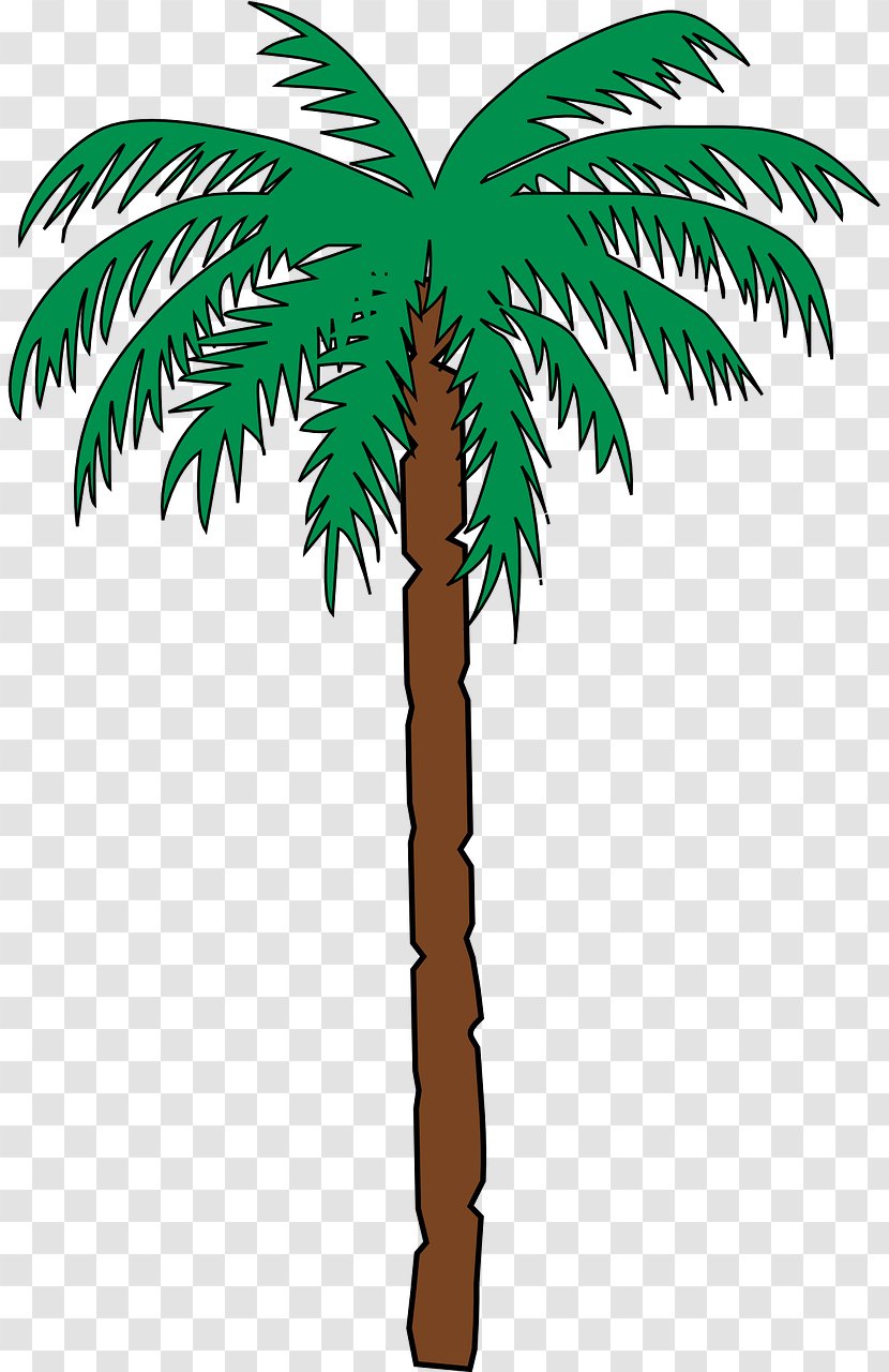 Arecaceae Desert Clip Art - Woody Plant Transparent PNG