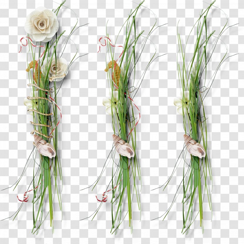 Floral Design DepositFiles IFolder Plant Stem Clip Art - Fresh Grass Transparent PNG
