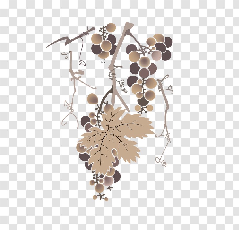 Common Grape Vine Drawing Euclidean Vector - Leaves Transparent PNG