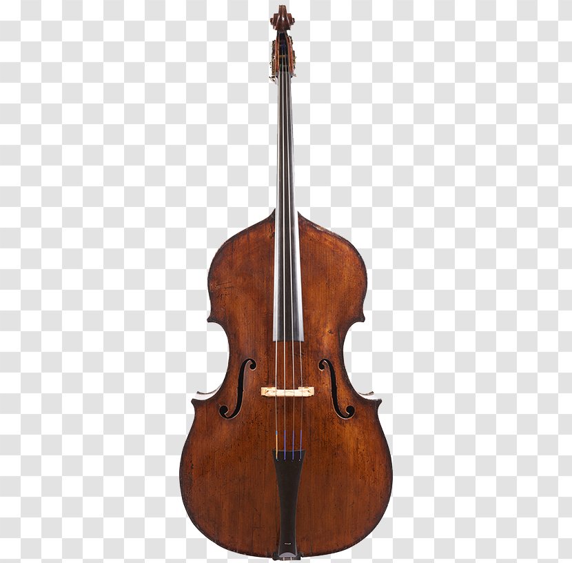 Bass Violin Violone Double Viola - Tree Transparent PNG
