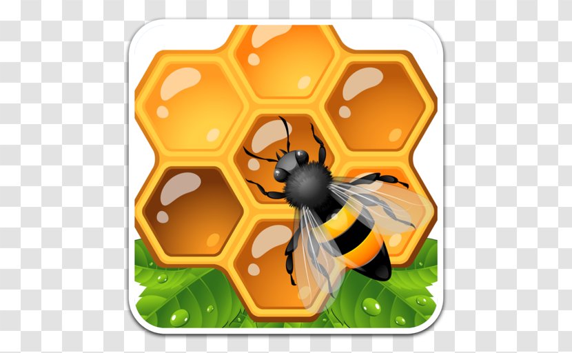 Honey Bee Honeycomb Clip Art Transparent PNG
