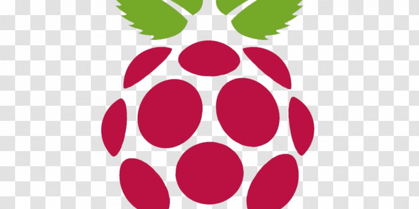 Raspberry Pi 3 OpenMediaVault - Arch Linux - Rasberry Transparent PNG