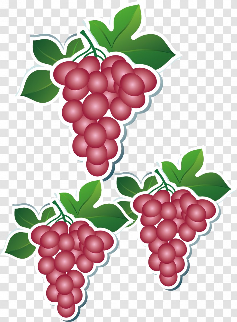 Auglis Cartoon Apple Food - Cranberry - Grapes Label Transparent PNG