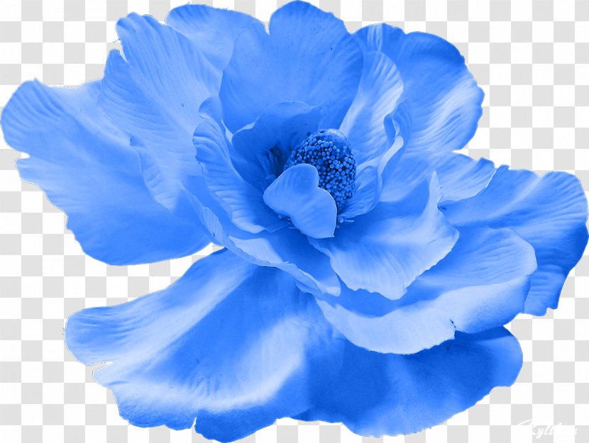 Blue Cut Flowers Petal - Flower Transparent PNG