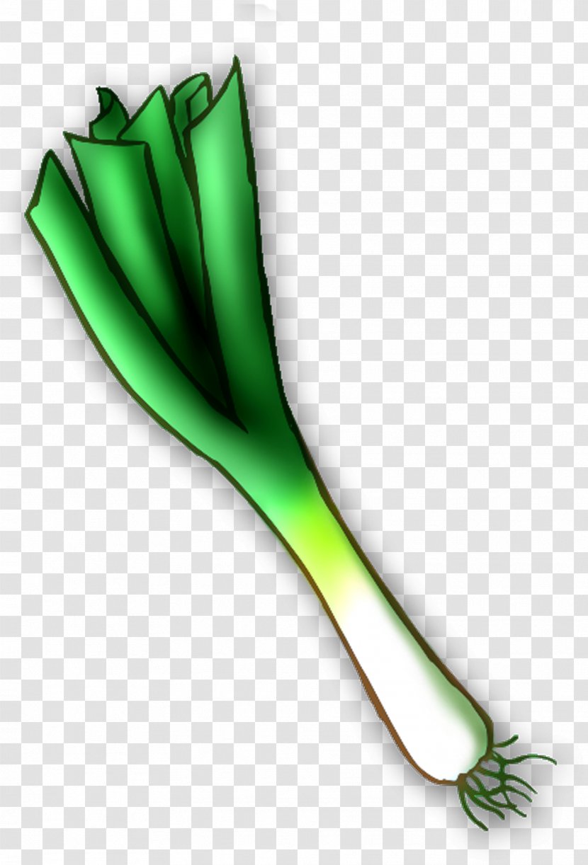 National Symbols Of Wales Vegetable Leek Clip Art - Leaf - Cucumber Transparent PNG