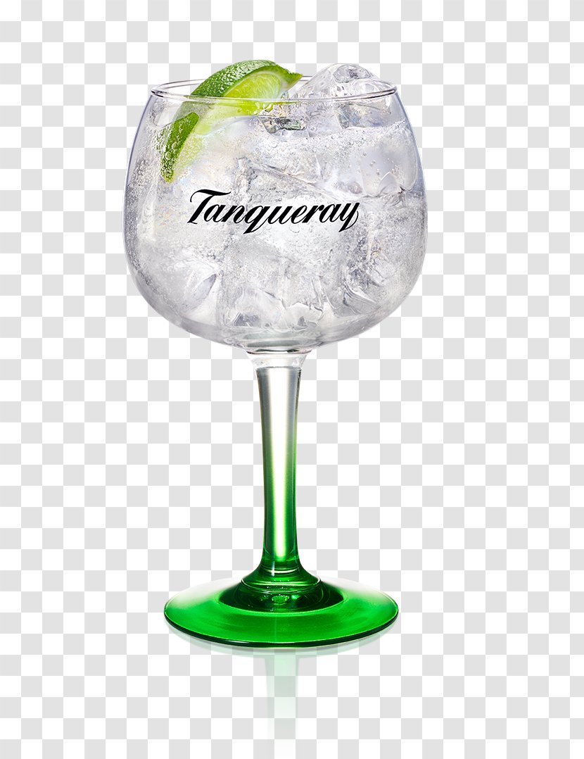 Tanqueray Gin And Tonic Distilled Beverage Water - Cocktail Garnish Transparent PNG