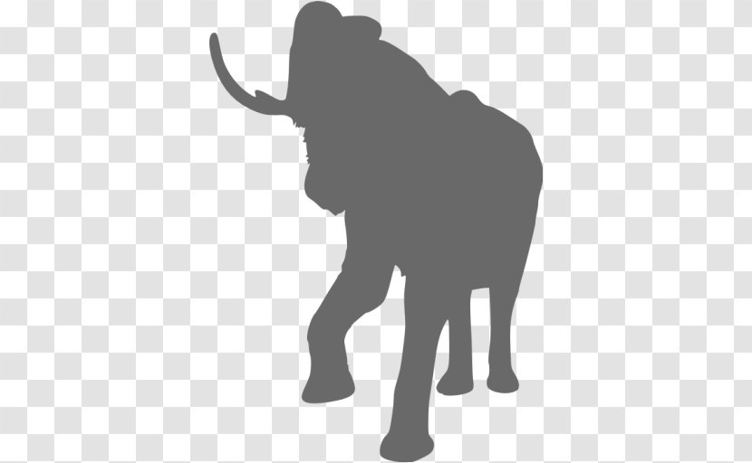 African Bush Elephant Asian Image - Terrestrial Animal - Silhouette Black Transparent PNG