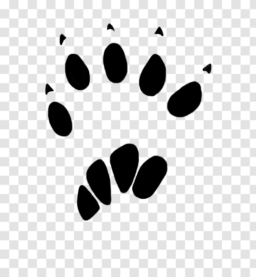 Squirrel Paw Dog Animal Track Clip Art - Pine - Cat Footprints Transparent PNG