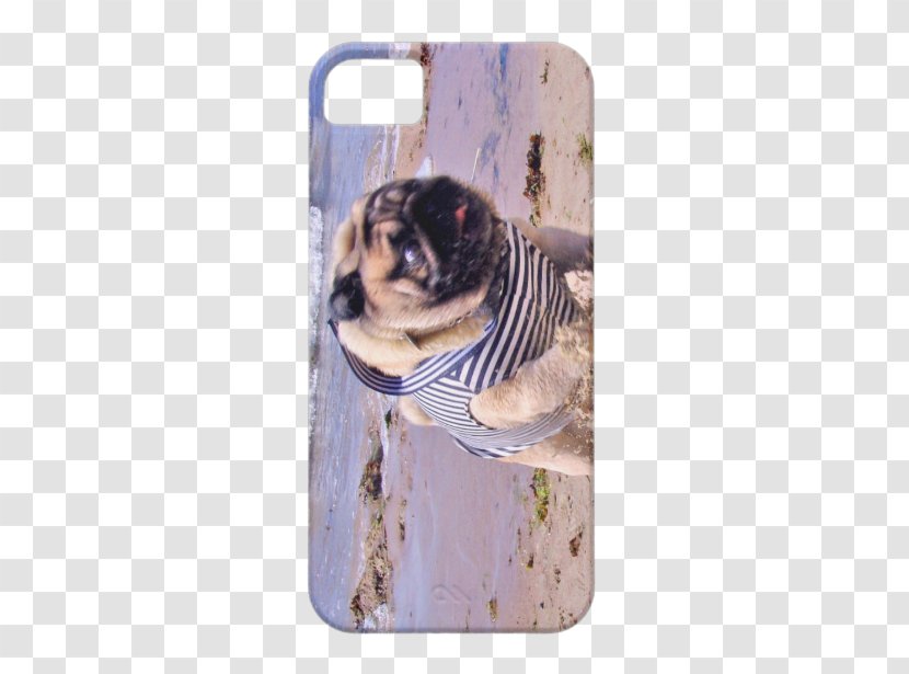 Pug Samsung Galaxy S5 IPhone 5 S4 - Google Nexus Transparent PNG