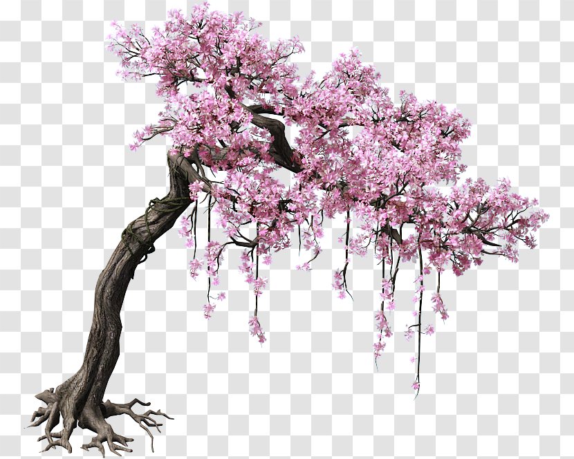 Peach Tree Color - Flower - Game Scene Trees Transparent PNG
