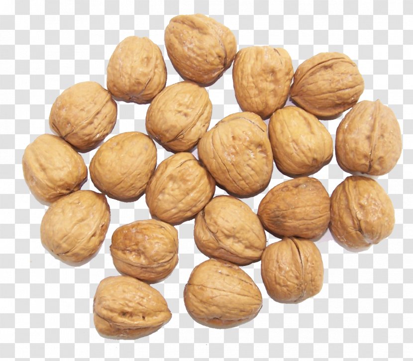 Walnut Dried Fruit Nuts - Gratis - Wild Transparent PNG