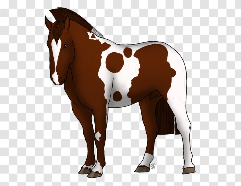 Stallion Rein Mare Mustang Colt - Pony Transparent PNG