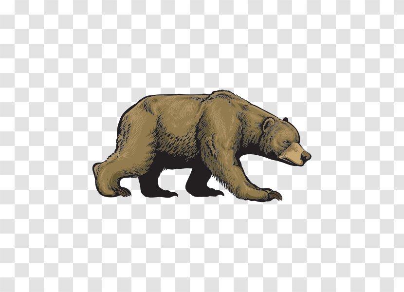 Grizzly Bear Cub Alaska Peninsula Brown Wildlife - Vulpini Transparent PNG