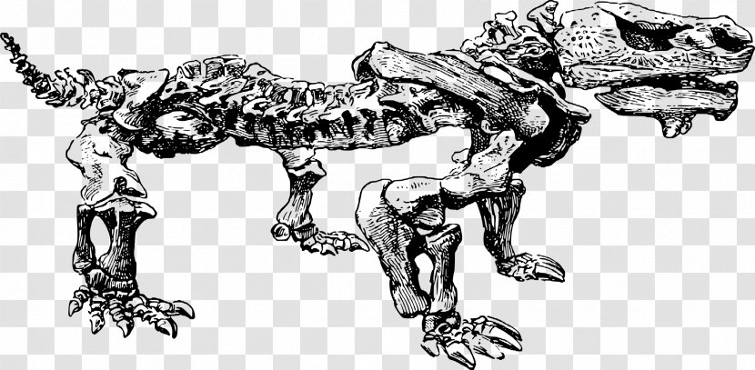 Dinosaur Fossils Paleontology - Black And White - Fossil Transparent PNG