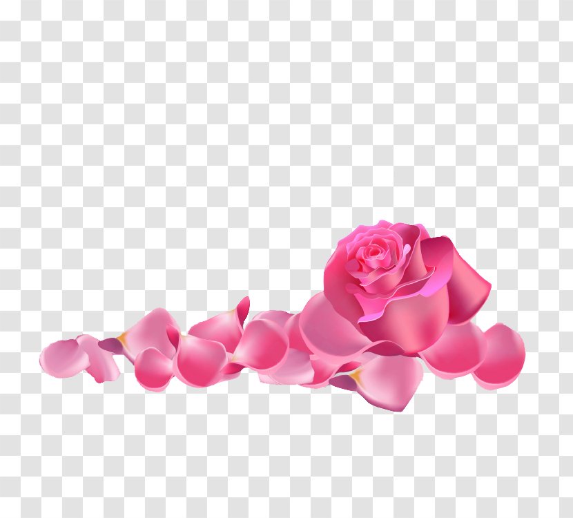 Garden Roses Beach Rose Pink Transparent PNG
