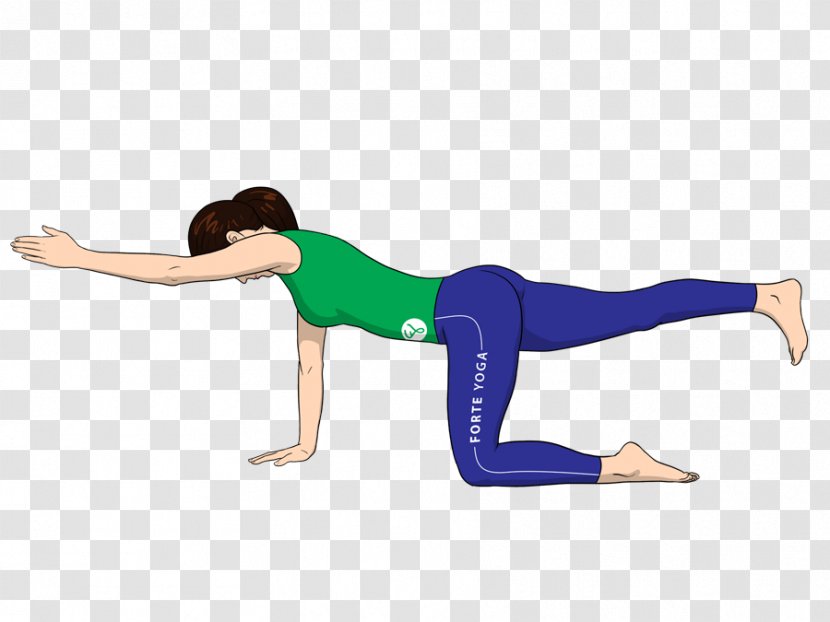 Yoga Exercise Asana Arm Knee - Frame - Targets Transparent PNG