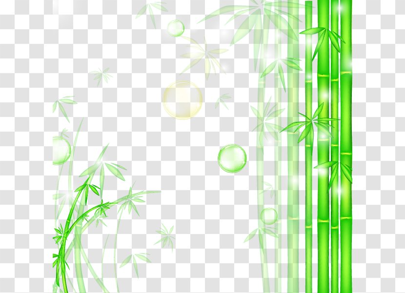 Bamboo Graphic Design Wallpaper - Fresh Green Background Transparent PNG