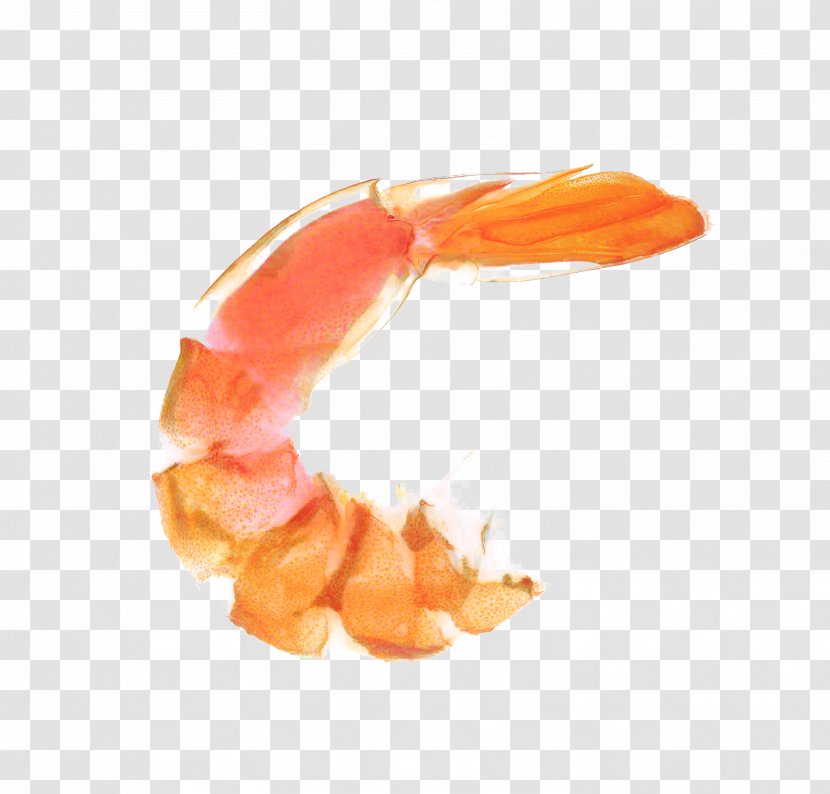 Fried Rice - Shrimp - Finger Orange Transparent PNG