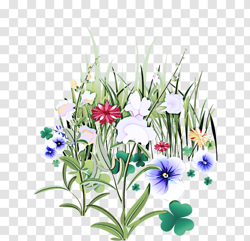 Flower Plant Wildflower Delphinium Iris Transparent PNG