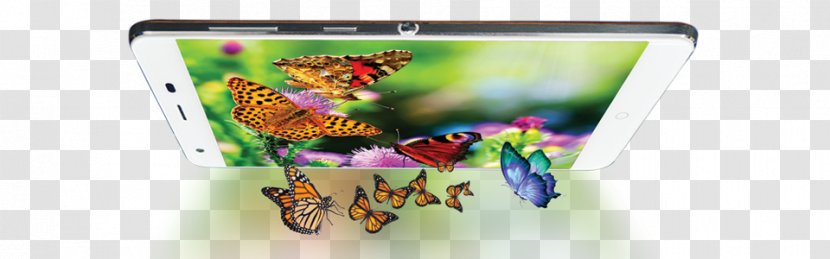 Plastic Gadget - Butterfly - Alif Baa Transparent PNG