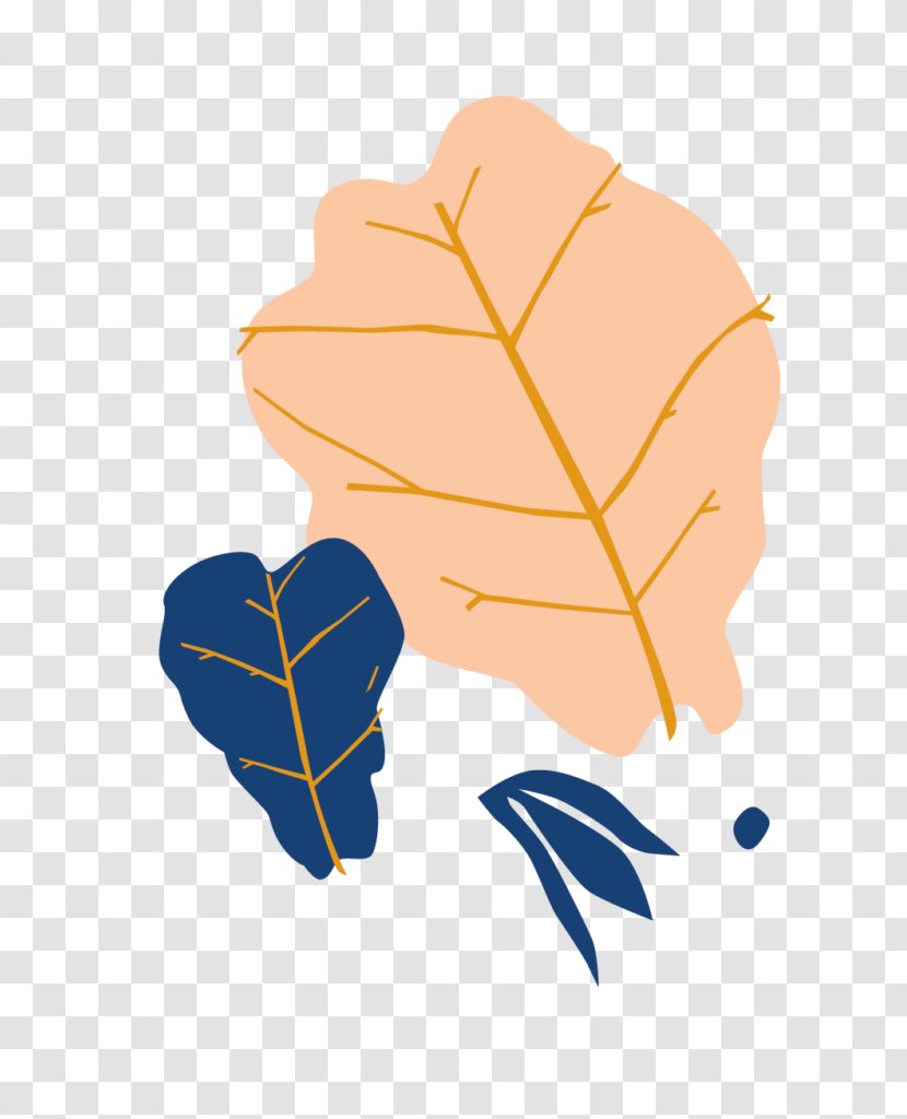 Fiddle-leaf Fig Common Houseplant Leaf - Heart Transparent PNG