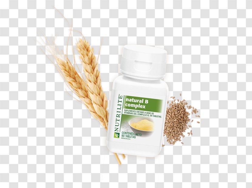Cereal Germ Grasses Wheat Commodity - Grass Family Transparent PNG
