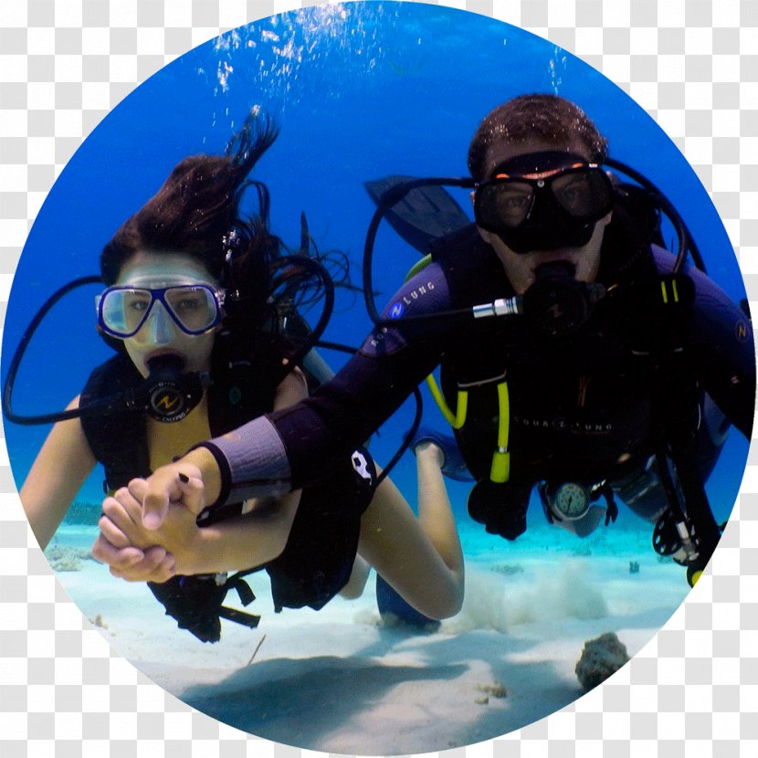 Cabo San Lucas Scuba Diving Underwater Professional Association Of Instructors Diver Certification - Recreational - Swimming Transparent PNG