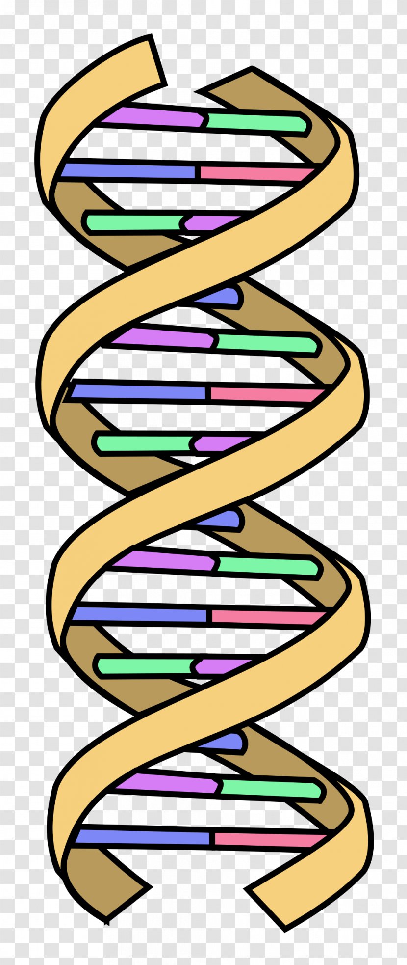 DNA Nucleic Acid Double Helix Genetics - Text Transparent PNG