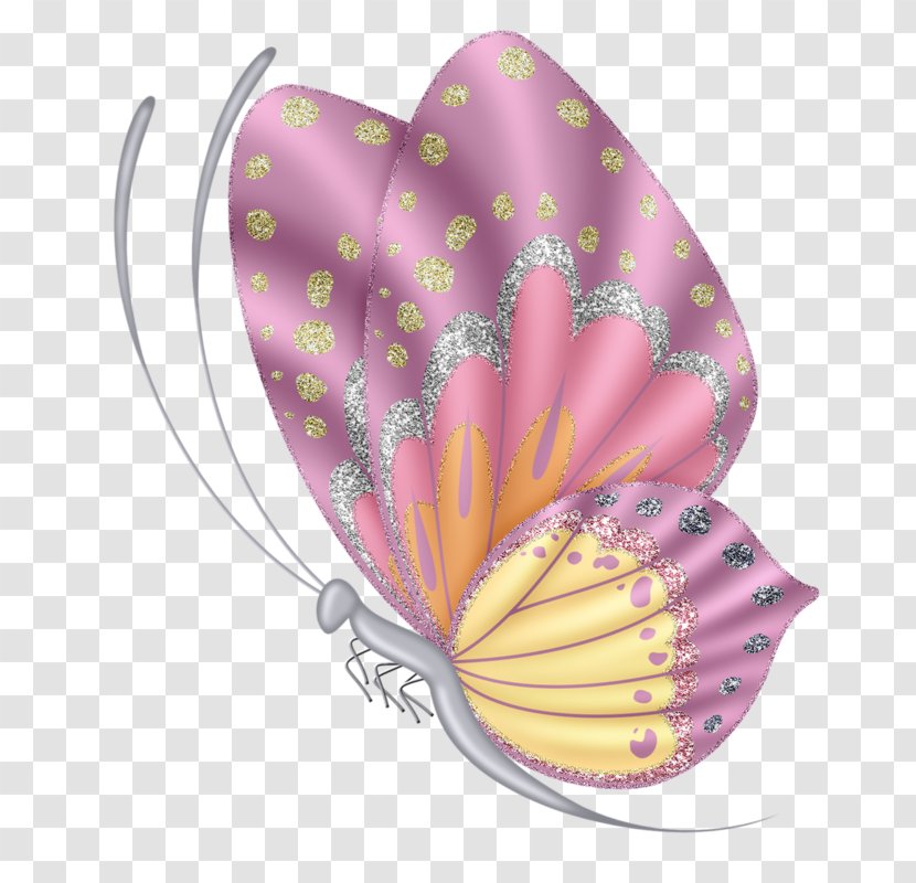 Butterfly Insect - Petal - Cartoon Transparent PNG