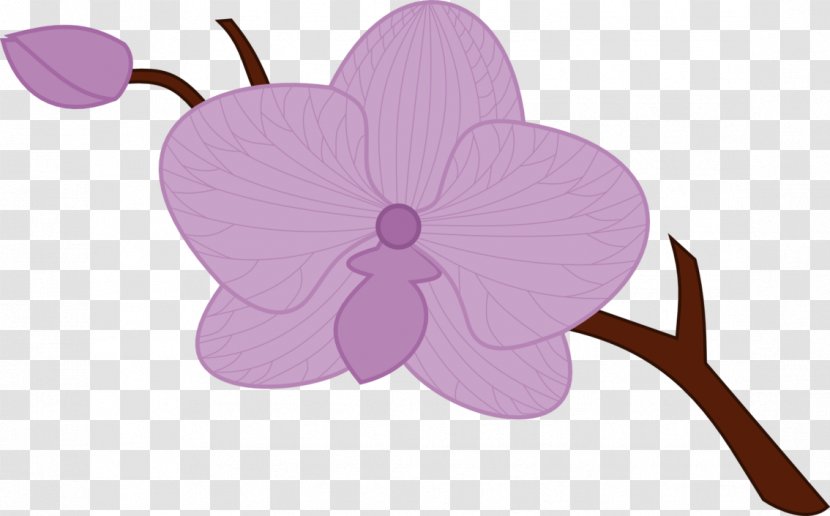 Drawing Orchids Clip Art - Violet - Lilac Transparent PNG