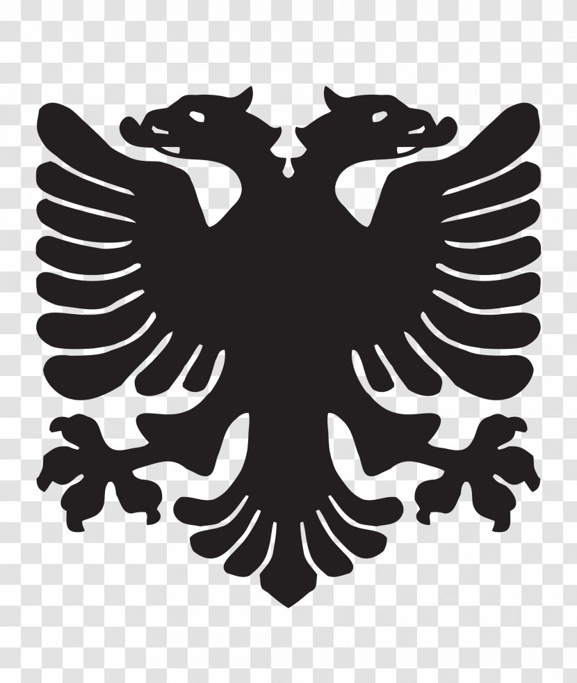Flag Of Albania Kosovo 2001 Insurgency In The Republic Macedonia - Russian Transparent PNG