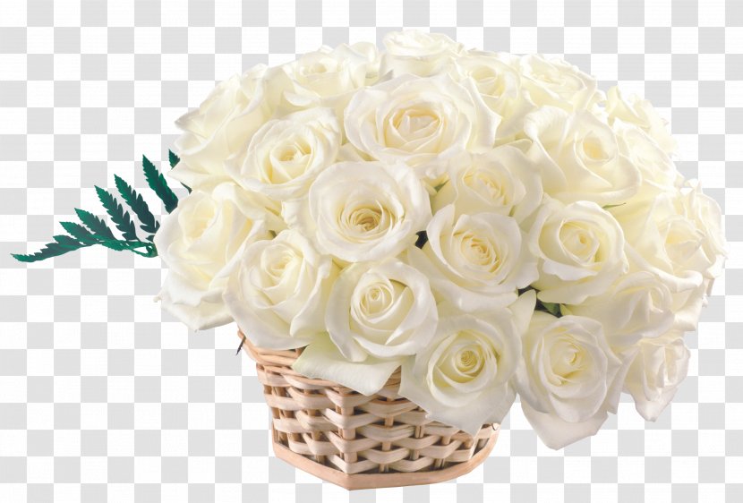 Birthday Daytime Wish Holiday Joy - Cut Flowers - Funeral Transparent PNG