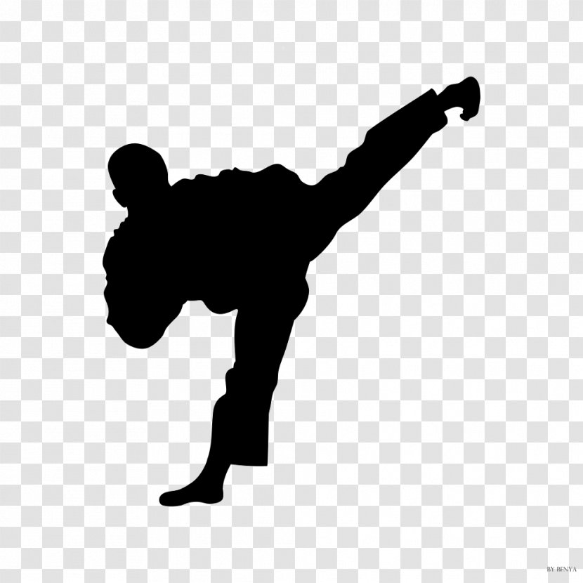 Moo Duk Kwan Taekwondo Martial Arts Kick - Shotokan - Karate Transparent PNG