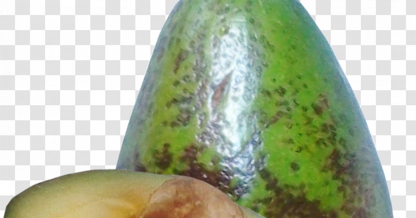 Fruit Avocado Pineapple Common Plum Transparent PNG