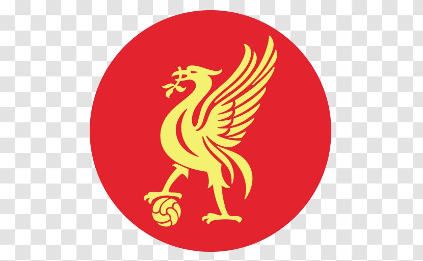 Liverpool F.C. Women Anfield Football UEFA Champions League - Tree Transparent PNG