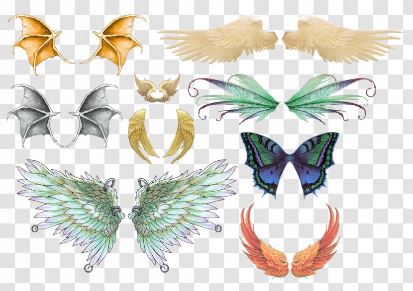 Bird Drawing Clip Art - Butterfly - Pretty Wings Pull Material Free Transparent PNG