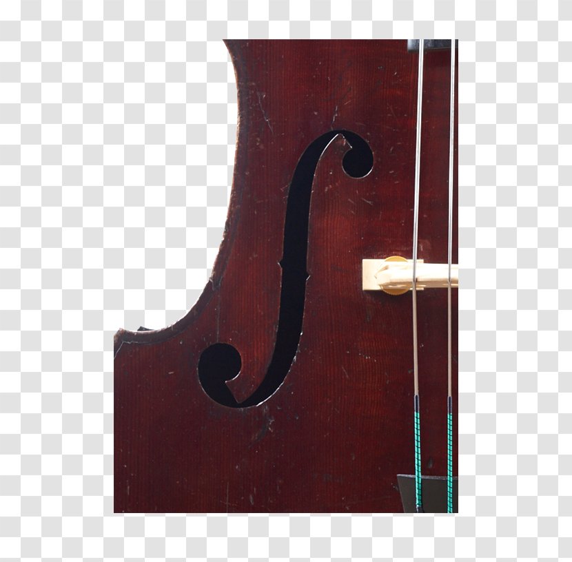 Bass Violin Violone Viola Octobass Cello Transparent PNG