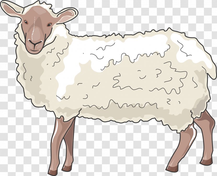 Barbary Sheep Cattle Ox Horn - Mammal Transparent PNG